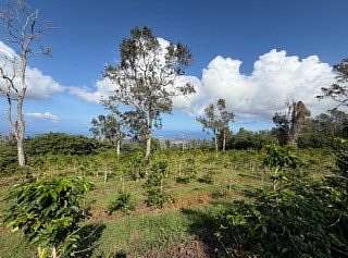 14 Acres of Land for Sale in Kailua-Kona, Hawaii