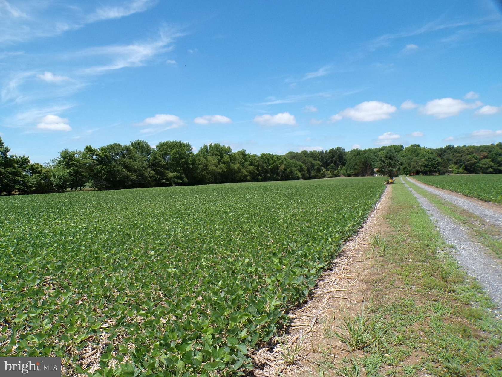 2.63 Acres of Residential Land for Sale in Greenwood, Delaware