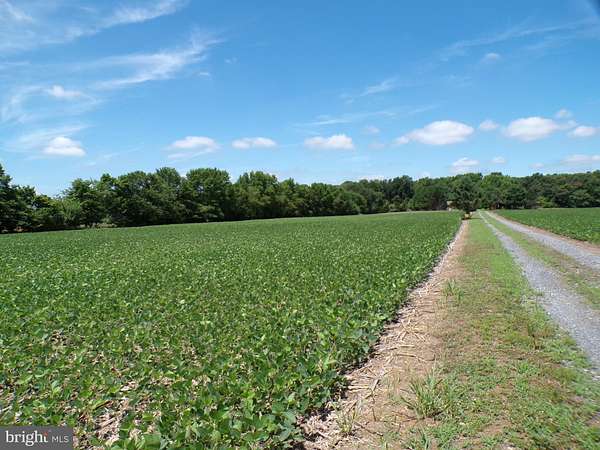 2.63 Acres of Residential Land for Sale in Greenwood, Delaware