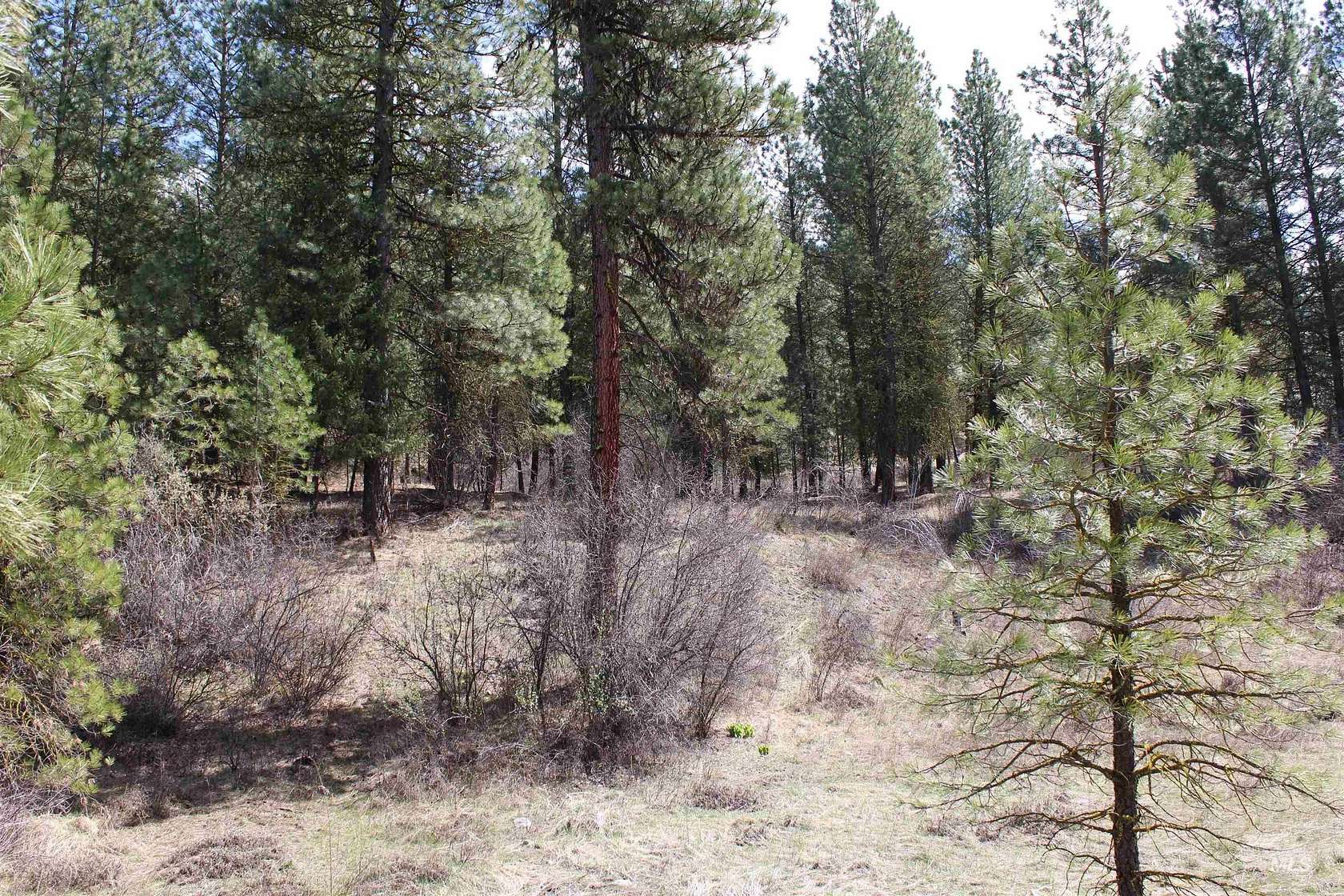 6.2 Acres of Land for Sale in Garden Valley, Idaho