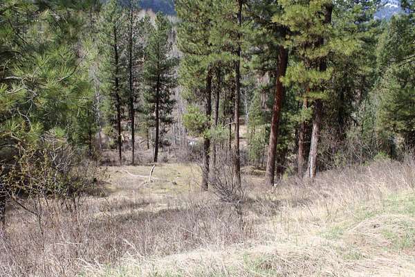 6.2 Acres of Land for Sale in Garden Valley, Idaho