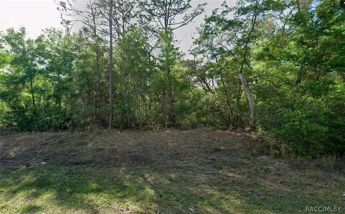 0.34 Acres of Residential Land for Sale in Citrus Springs, Florida