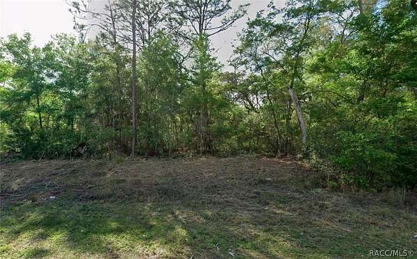 0.34 Acres of Residential Land for Sale in Citrus Springs, Florida