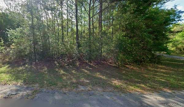 0.31 Acres of Residential Land for Sale in Dunnellon, Florida