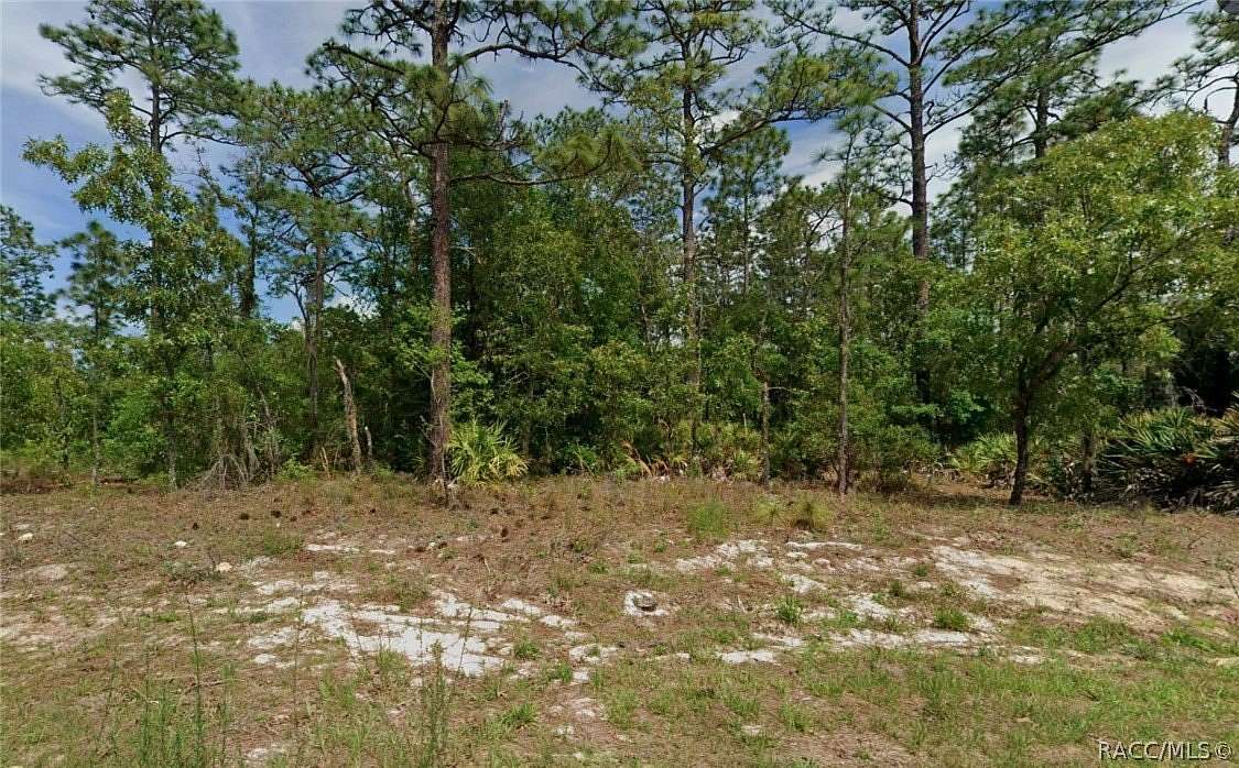 0.23 Acres of Residential Land for Sale in Citrus Springs, Florida