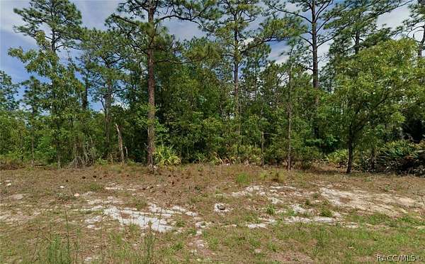 0.23 Acres of Residential Land for Sale in Citrus Springs, Florida