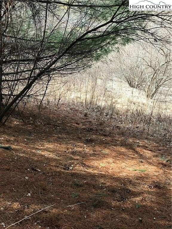 3.44 Acres of Land for Sale in Crumpler, North Carolina