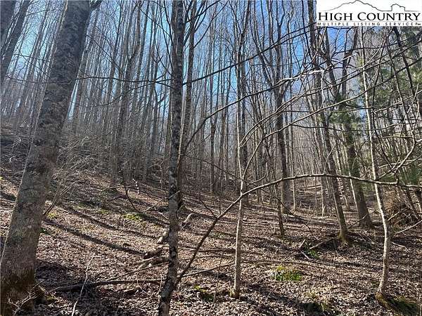31.7 Acres of Recreational & Residential Land for Sale in Lansing, North Carolina