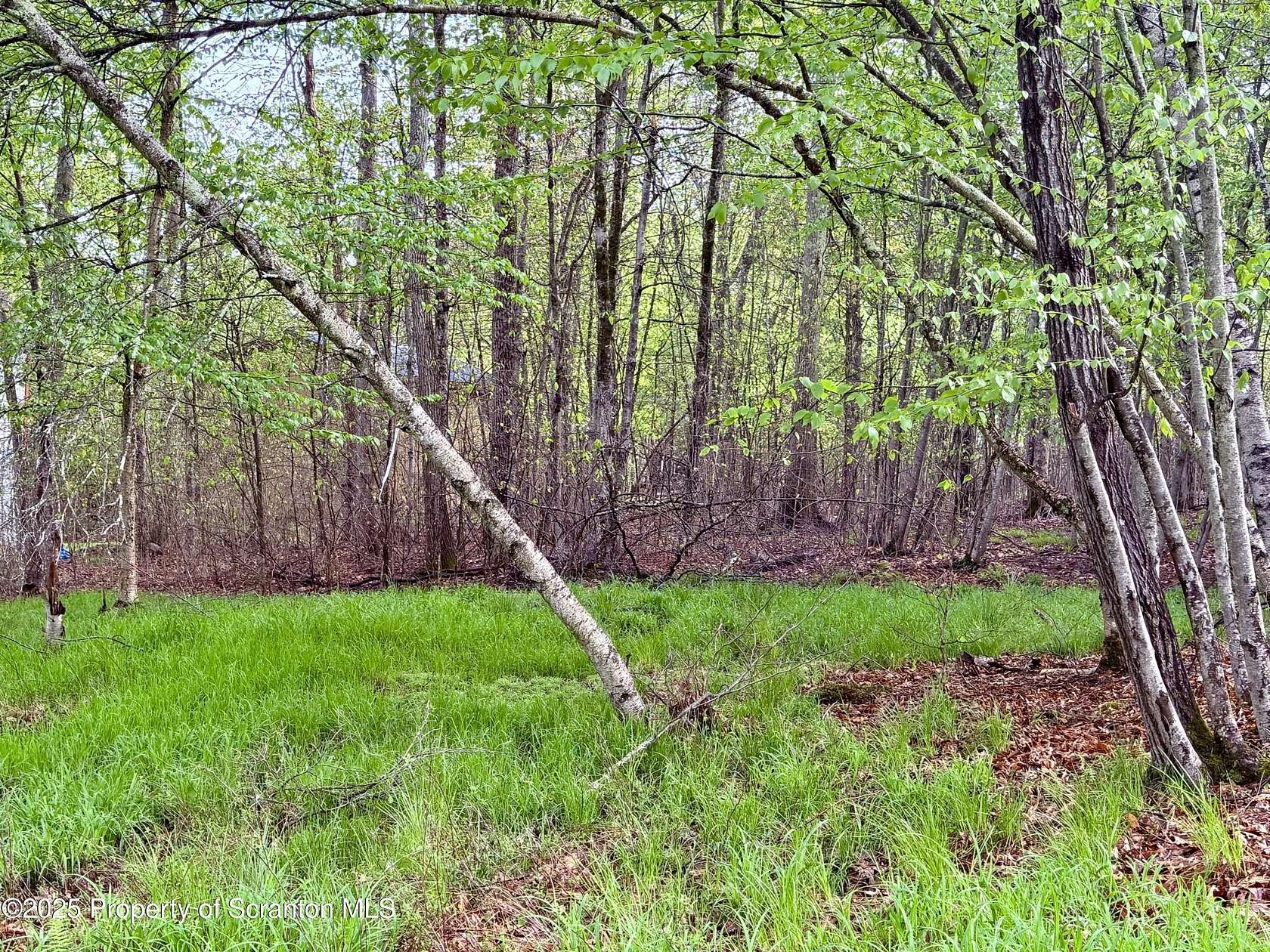 0.23 Acres of Residential Land for Sale in Thornhurst, Pennsylvania