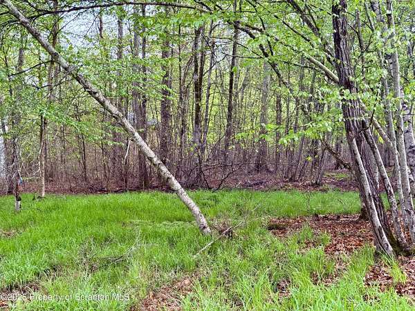 0.23 Acres of Residential Land for Sale in Thornhurst, Pennsylvania