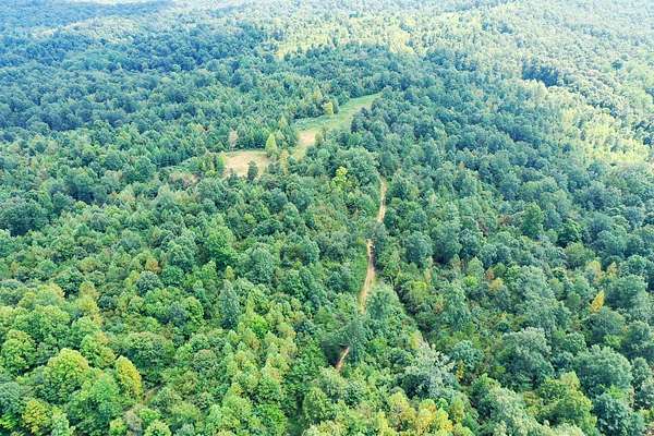190 Acres of Recreational Land for Sale in Princeton, Kentucky