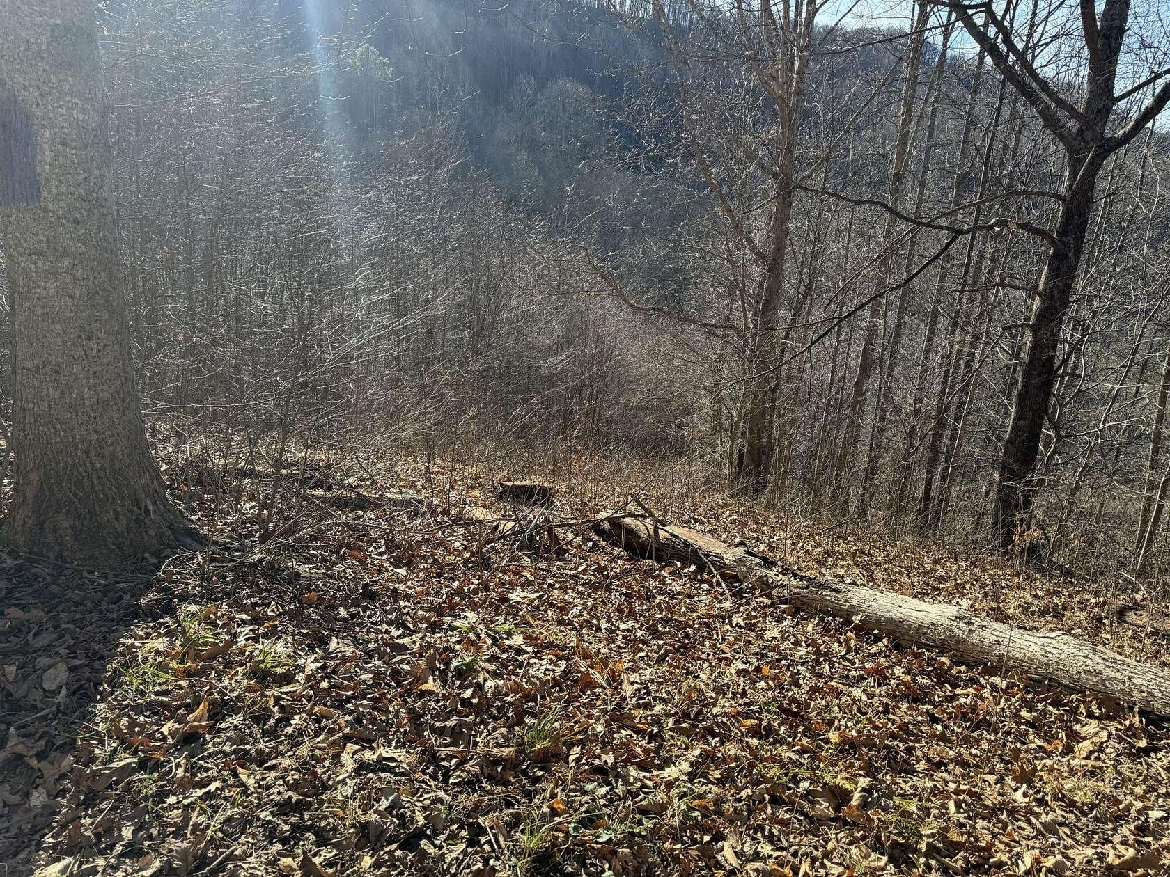 3 Acres of Land for Sale in Sutton, West Virginia