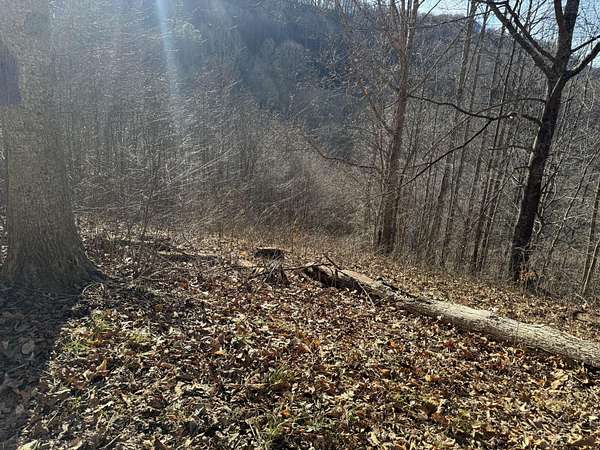 3 Acres of Land for Sale in Sutton, West Virginia