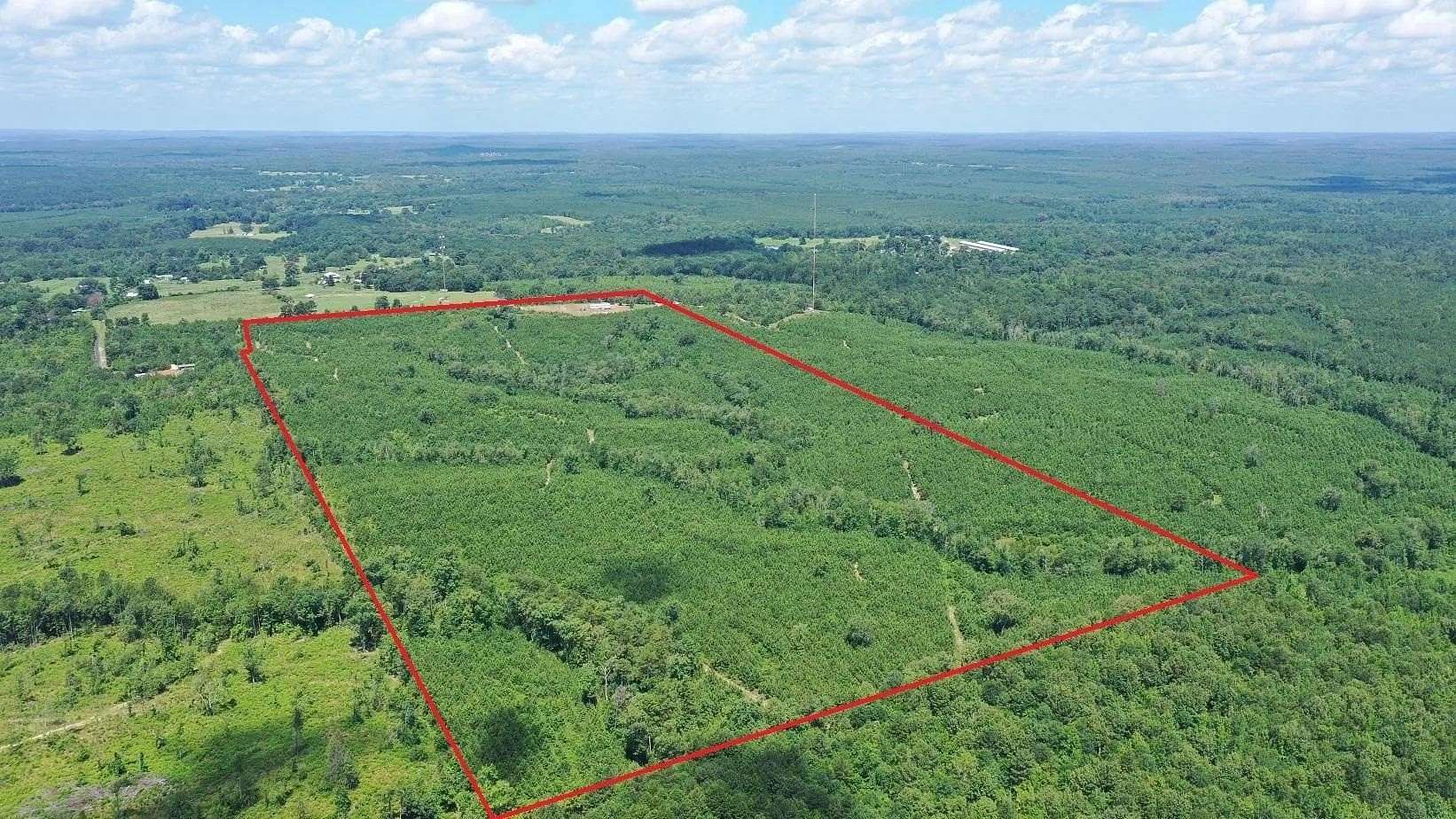 97.9 Acres of Recreational Land with Home for Sale in Jefferson, Texas