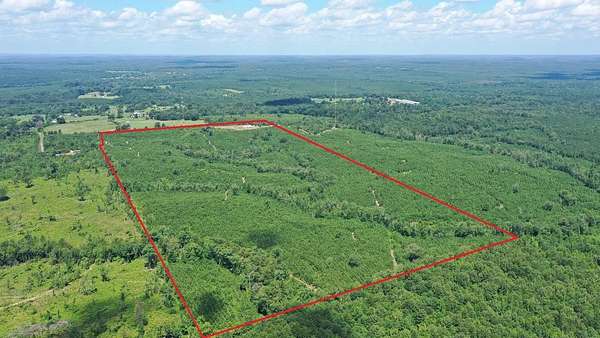 97.9 Acres of Recreational Land with Home for Sale in Jefferson, Texas