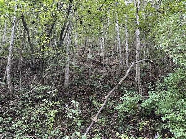 5.19 Acres of Residential Land for Sale in Wilder, Tennessee