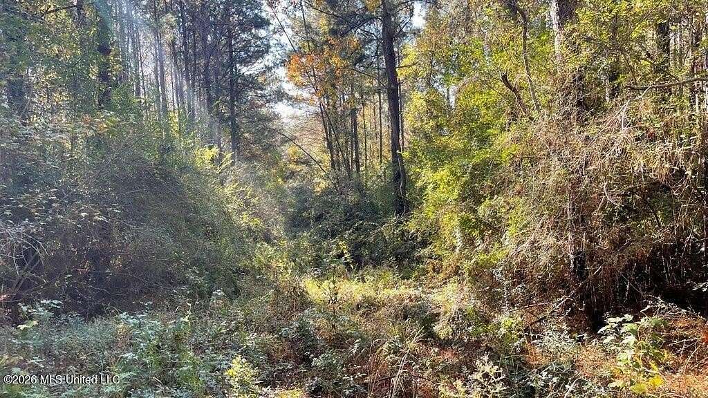 48 Acres of Recreational & Residential Land for Sale in McComb, Mississippi