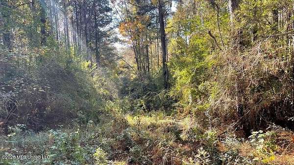 48 Acres of Recreational & Residential Land for Sale in McComb, Mississippi