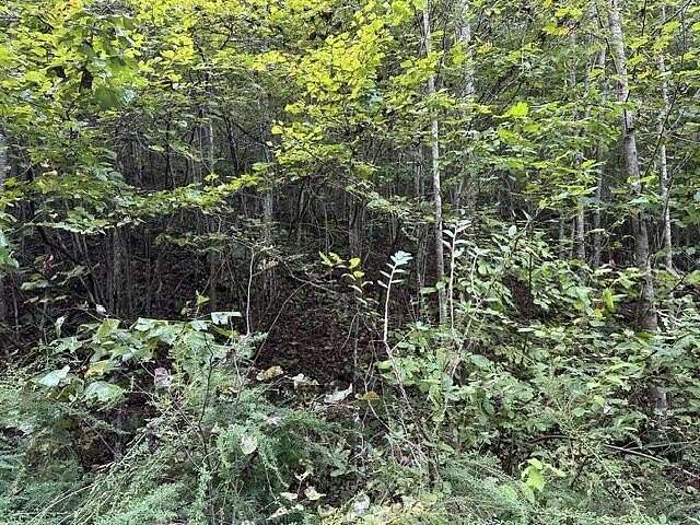 7.89 Acres of Land for Sale in Wilder, Tennessee