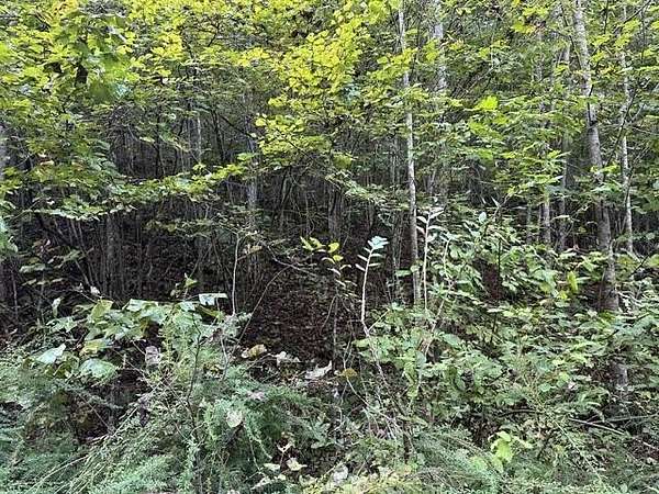 7.89 Acres of Land for Sale in Wilder, Tennessee