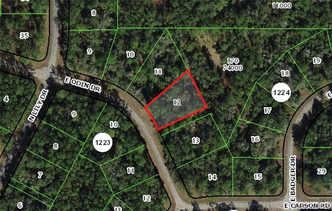 0.39 Acres of Land for Sale in Dunnellon, Florida