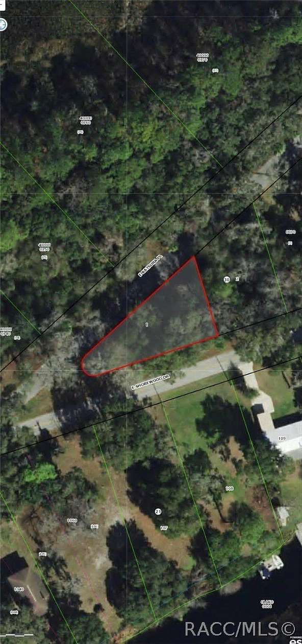 0.2 Acres of Residential Land for Sale in Hernando, Florida