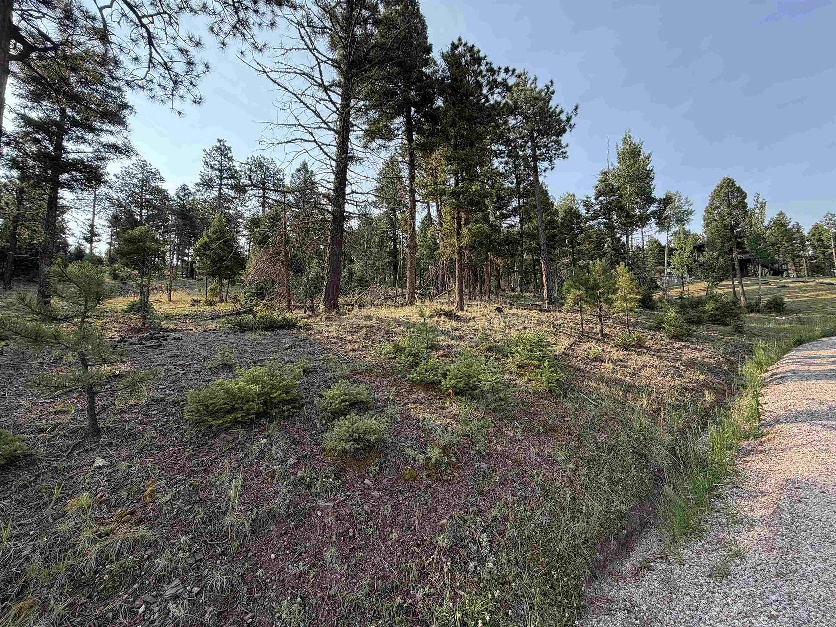 0.94 Acres of Residential Land for Sale in Angel Fire, New Mexico
