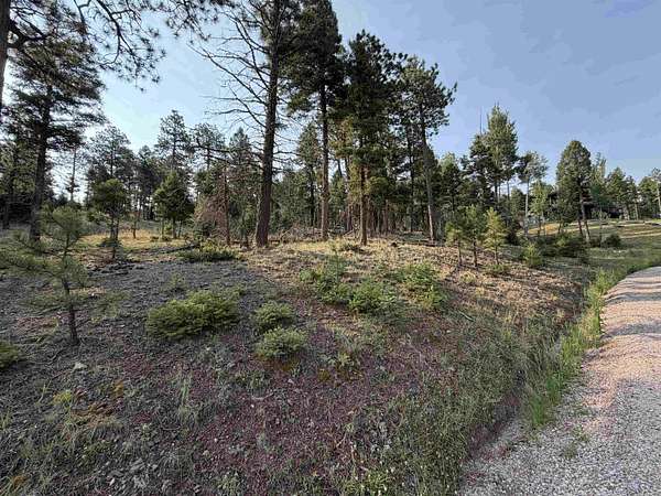 0.94 Acres of Residential Land for Sale in Angel Fire, New Mexico