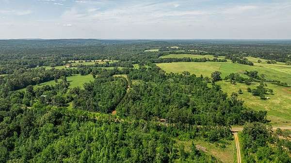 21.5 Acres of Recreational Land for Sale in Nacogdoches, Texas