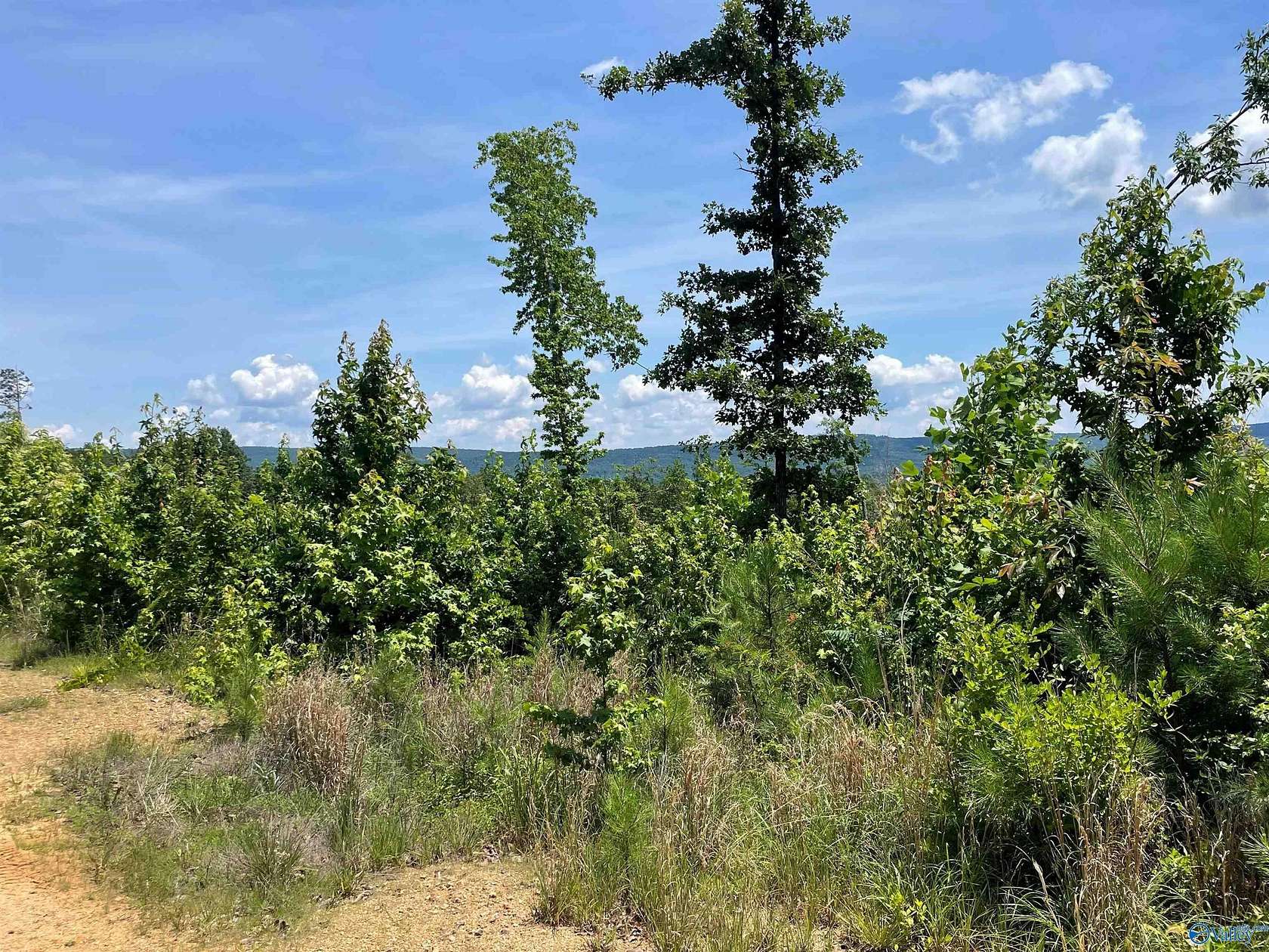 199 Acres of Recreational Land for Sale in Collinsville, Alabama