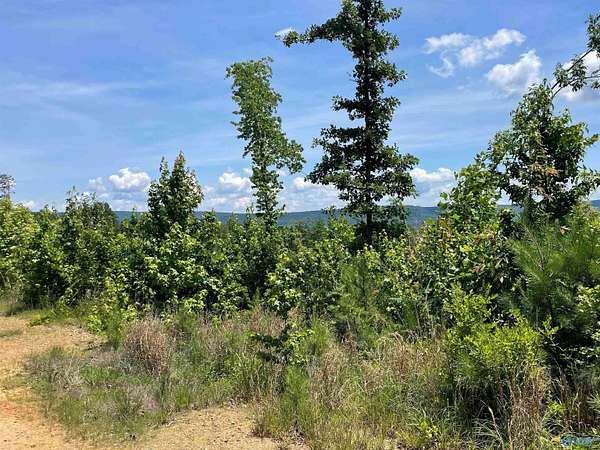 199 Acres of Recreational Land for Sale in Collinsville, Alabama