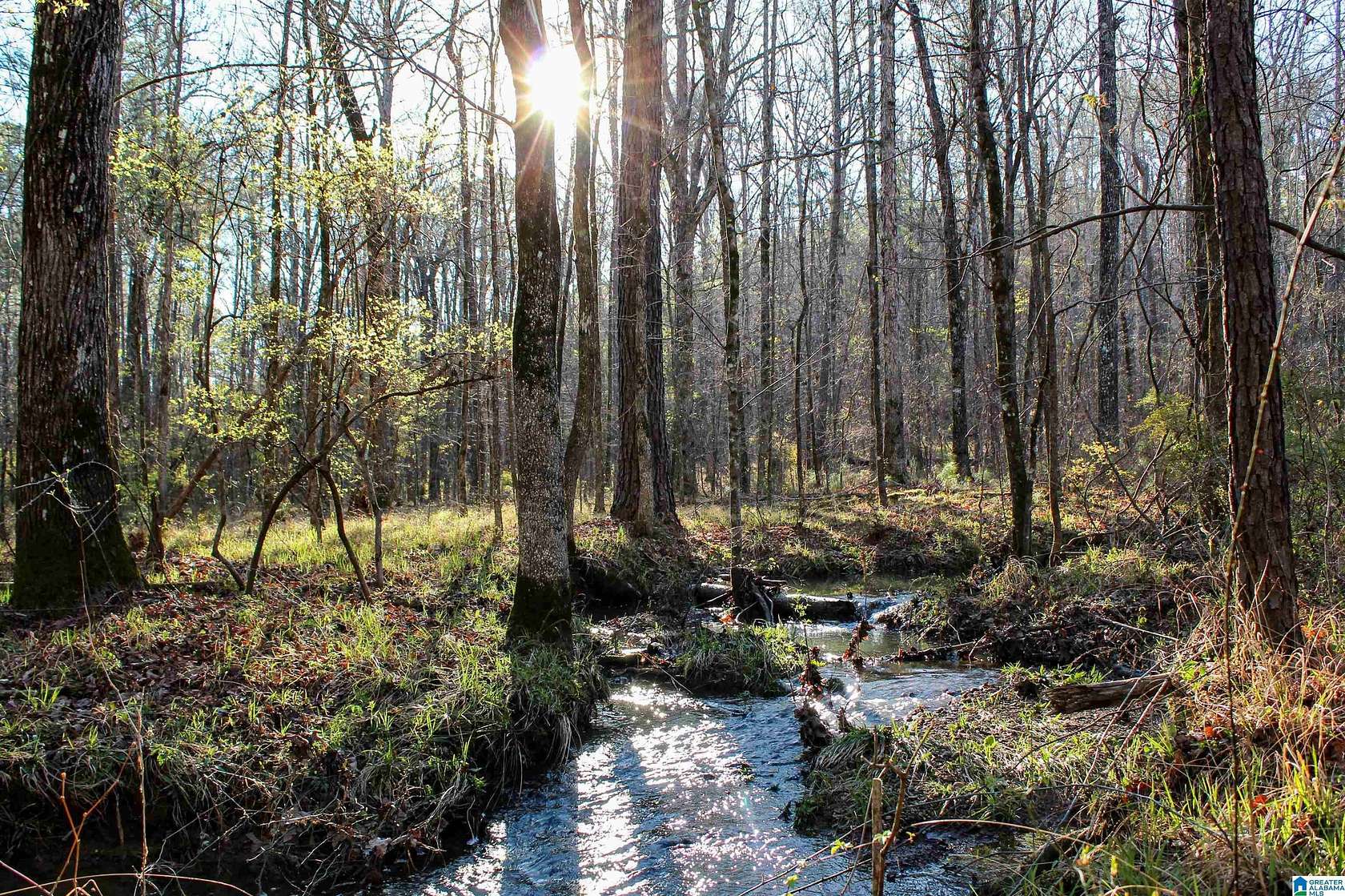 99.4 Acres of Recreational & Residential Land for Sale in McCalla, Alabama