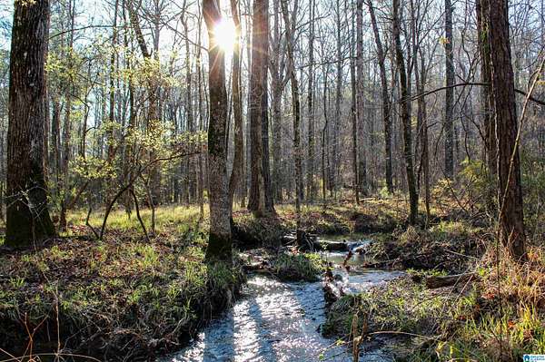 99.4 Acres of Recreational & Residential Land for Sale in McCalla, Alabama