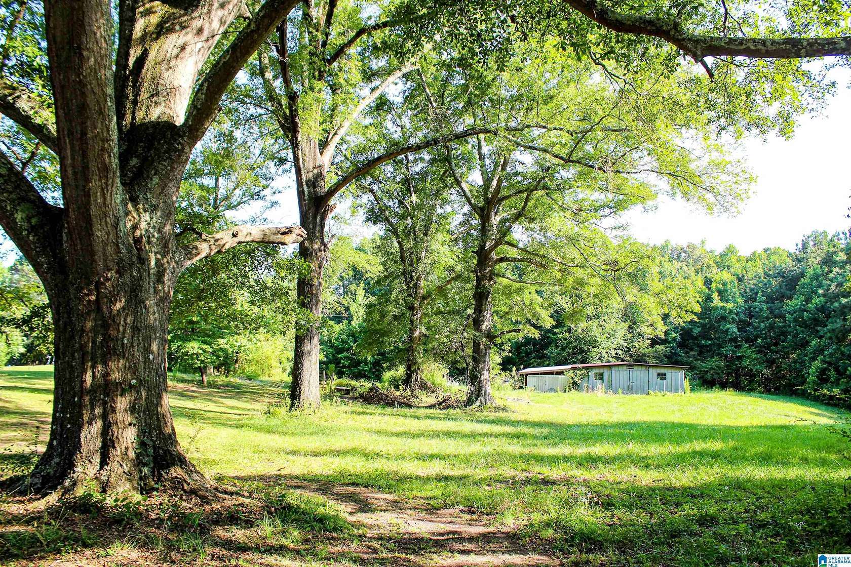 7 Acres of Land for Sale in Jasper, Alabama