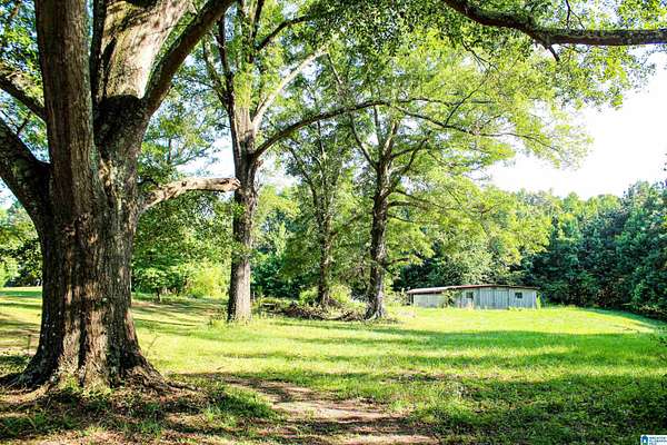 7 Acres of Land for Sale in Jasper, Alabama