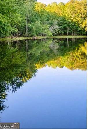 18.7 Acres of Land for Sale in Fayetteville, Georgia