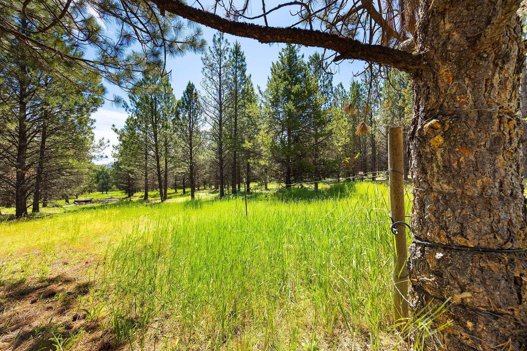 122 Acres of Land for Sale in Marion, Montana