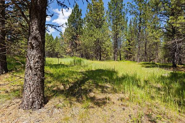 122 Acres of Land for Sale in Marion, Montana