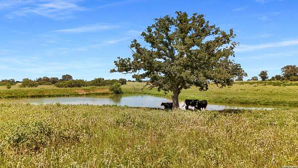 3 Acres of Residential Land for Sale in Luling, Texas