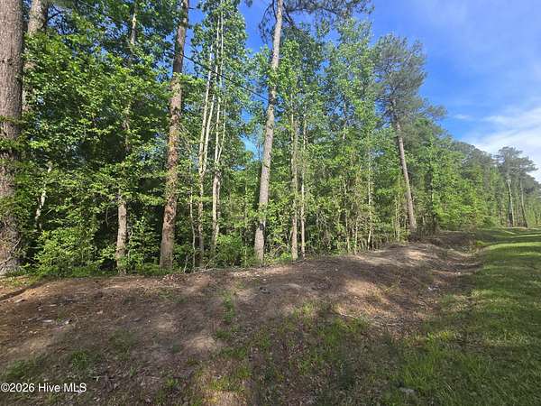1.17 Acres of Residential Land for Sale in Vass, North Carolina