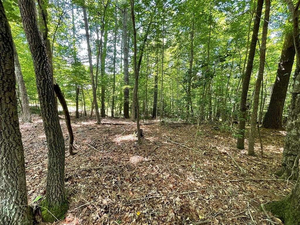 0.7 Acres of Residential Land for Sale in Blairsville, Georgia