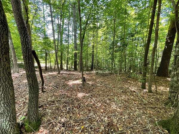0.7 Acres of Residential Land for Sale in Blairsville, Georgia