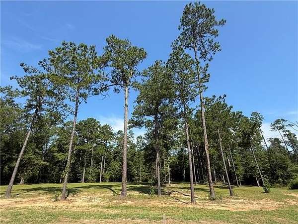 1 Acre of Land for Sale in Abita Springs, Louisiana