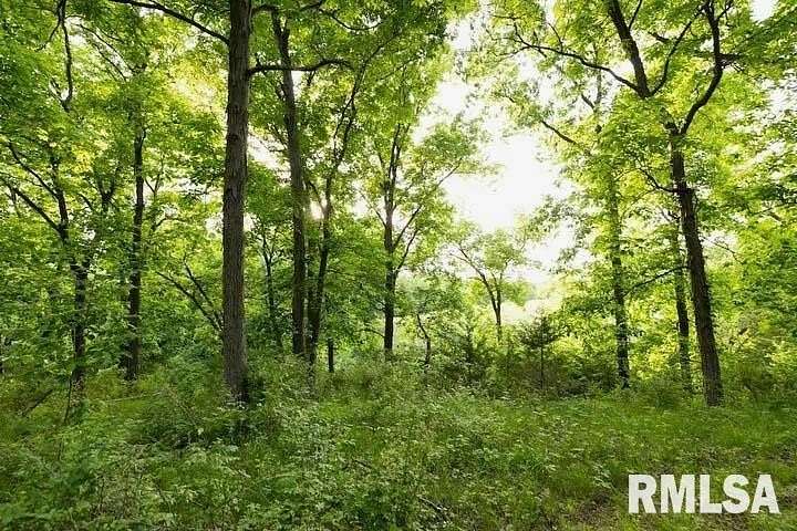 40 Acres of Land for Sale in Rushville, Illinois