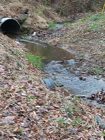 180 Acres of Recreational & Residential Land for Sale in Prestonsburg, Kentucky