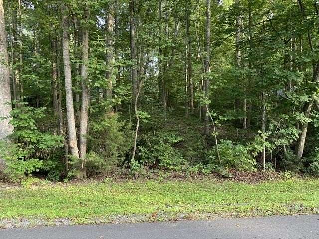 0.25 Acres of Residential Land for Sale in Louisa, Virginia