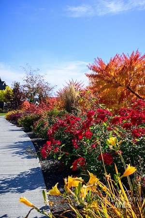 0.96 Acres of Residential Land for Sale in Meridian, Idaho