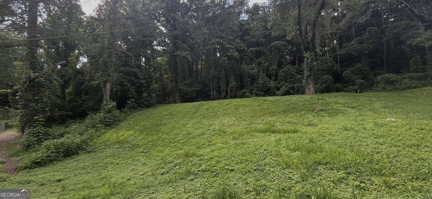 1.12 Acres of Residential Land for Sale in Blue Ridge, Georgia