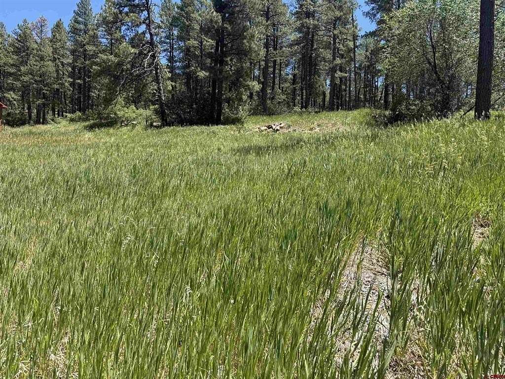 0.3 Acres of Residential Land for Sale in Bayfield, Colorado