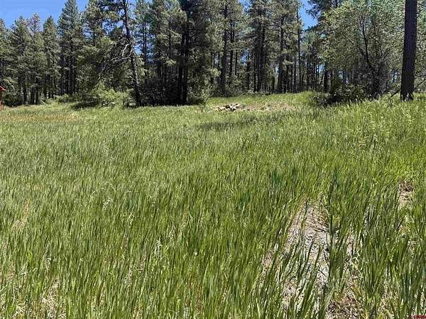 0.3 Acres of Residential Land for Sale in Bayfield, Colorado